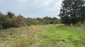 Development Potential in Andover photo